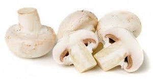 Champignons 1 kg